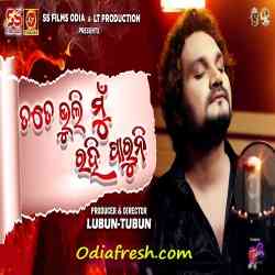 Tate Bhuli Mu Rahi Paruni